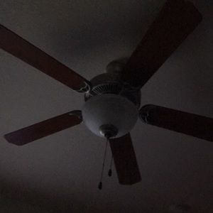 Meet your Posher, Martin